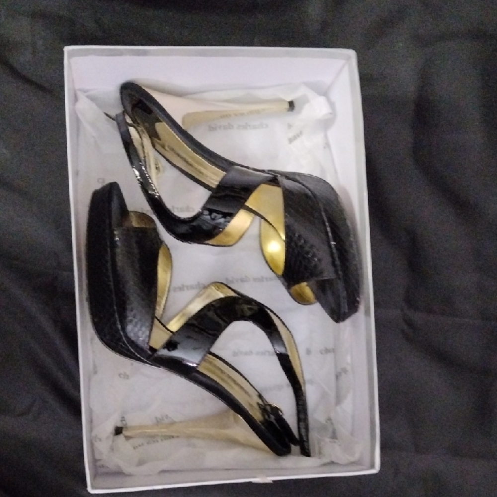 Charles David Elegant Black and Gold Heels